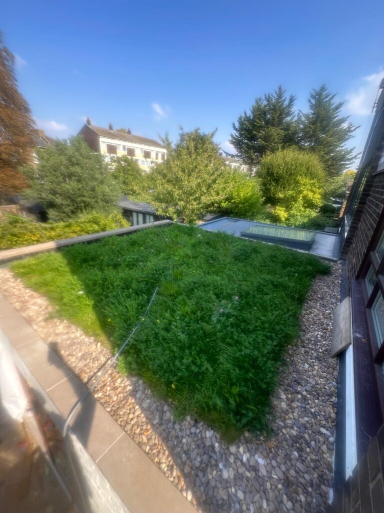 Brownlow Road E8 Side and back extension front of the house, bathroom